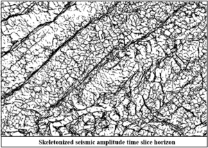 Skeleton of seismic time slice